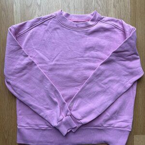 Everlane Croped Crewneck